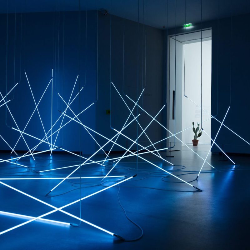 Afacere in crestere cu Weblamp.ro - servicii creare pagina web, web design, programare, gazduire, mentenanta site, digital marketing si SEO